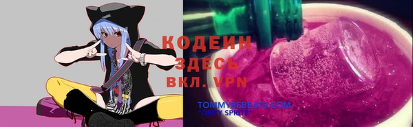крисы Алексин