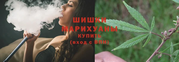 сатива Армянск