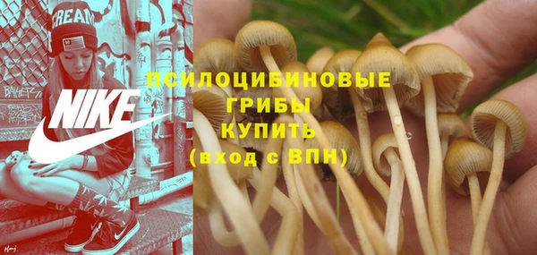 сатива Армянск
