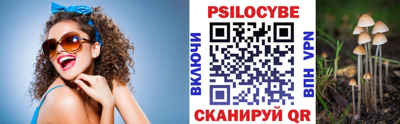 Псилоцибиновые грибы мицелий Крым