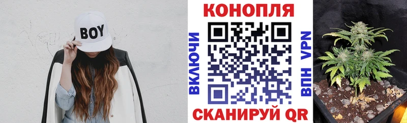 Каннабис сатива  где можно купить   Крым 